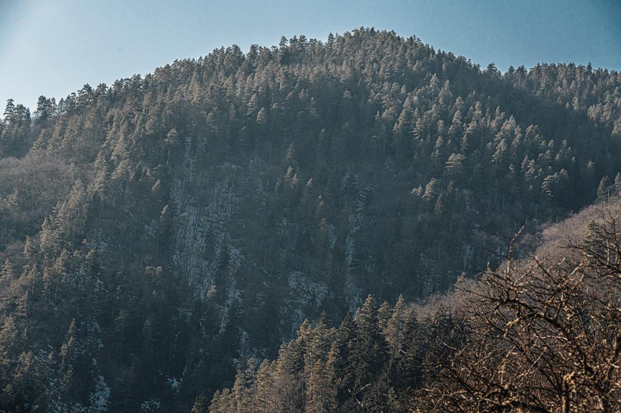 Roombox Likani Borjomi Esterno foto